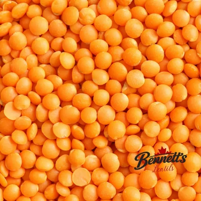 Red lentils