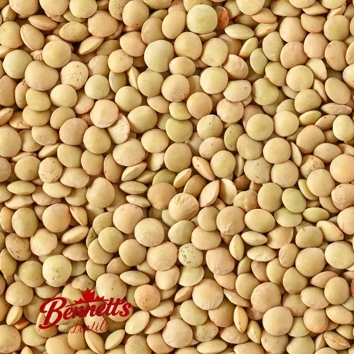 Richlea lentils